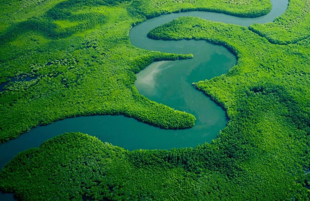 Aerial view of mangrove forest in Gambia